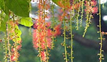 আমার ভ্রমণিয়া দিন আমার ভ্রমণিয়া দিন