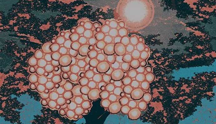 অলঙ্করণ: রিফাত বিন সালাম রূপম