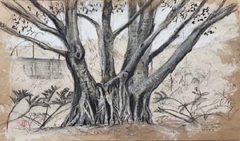 সৌরভ হালদারের ৩ কবিতা