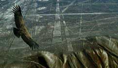 এলে দেখতে পেতে