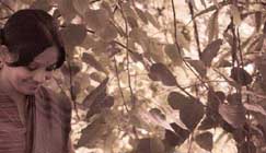 সঙ্গীতা দাশের তিনটি কবিতা