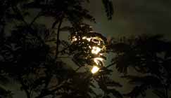 ওমর সাঈদের তিনটি কবিতা