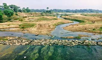 সবুজ আর সোনালীর মিশ্রণ সবুজ আর সোনালীর মিশ্রণ