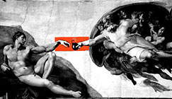 নয়া নূহ্