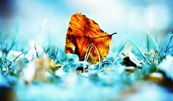 আন্নির একগুচ্ছ কবিতা