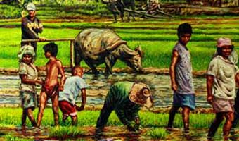 আবু তাহের সরফরাজের ছড়াঙ্ক