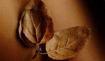 আবু তাহের সরফরাজের অল্প কথার কবিতা