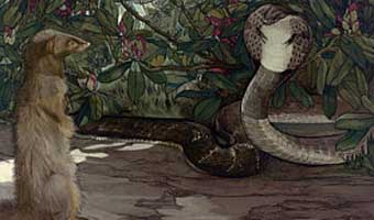 আবু তাহের সরফরাজের ছড়াকাহিনি ‘বেজি’