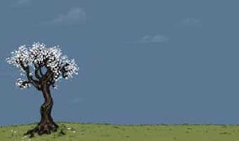 কিশোয়ার জাবিনের ৩ কবিতা