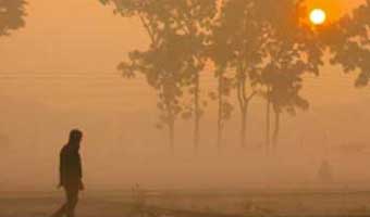 শাহরুখ পিকলুর দুটি কবিতা