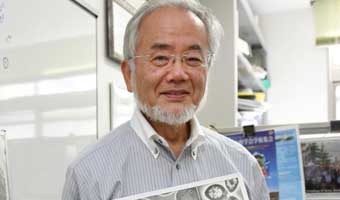 নিজে নিজেকে খাওয়া