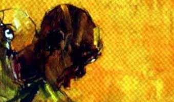 কালিকাপ্রসাদে গেলে আমি যা যা দেখতে পাব