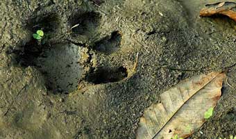 প্রত্যয় সরকারের একগুচ্ছ কবিতা