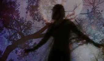 জীবনানন্দ দাশের প্রেম ও নিসর্গের কবিতা কবিতা