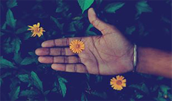 দৃশ্যসমূহ