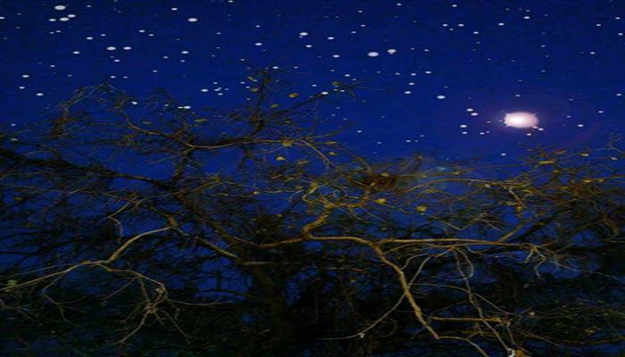 স্টারি নাইট