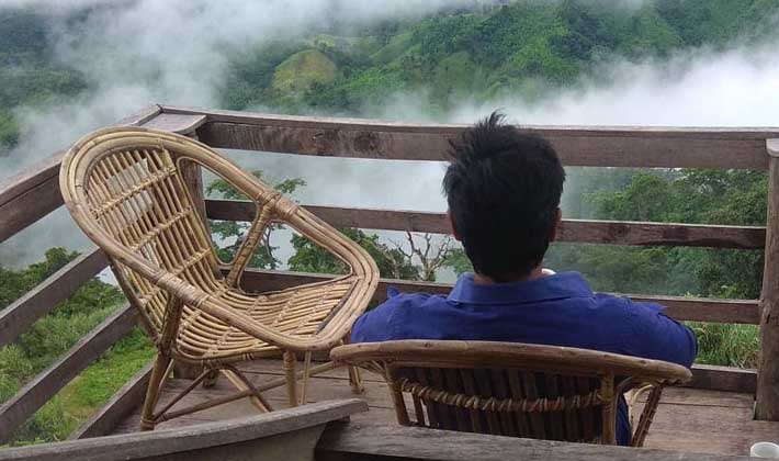 শিমুল বাশার