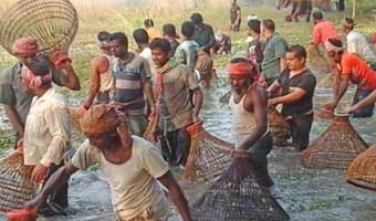 মৎস্যকথন