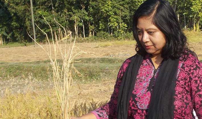 নভেরা হোসেন