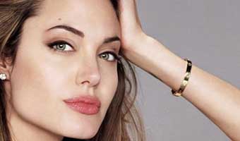 জোলির বিরুদ্ধে মদের ব্যবসার সুনাম নষ্টের অভিযোগ