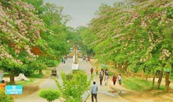 জাহাঙ্গীরনগর বিশ্ববিদ্যালয় একটি রহস্যময় কবিতা জাহাঙ্গীরনগর বিশ্ববিদ্যালয় একটি রহস্যময় কবিতা