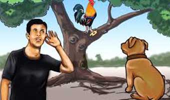 মারুফ ইসলামের গদ্য ‘পশুপাখির ভাষা’ মারুফ ইসলামের গদ্য ‘পশুপাখির ভাষা’