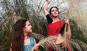 বৈতরণী হকের কলাম ‘আমি পথপ্রদর্শক হতে পারি, আর কিছু না’ বৈতরণী হকের কলাম ‘আমি পথপ্রদর্শক হতে পারি, আর কিছু না’