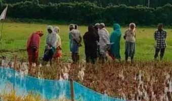 শত শত মুসলিমকে অবৈধভাবে বাংলাদেশে পাঠাচ্ছে ভারত: প্রতিবেদন