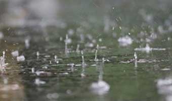 পাঁচদিনের মধ্যে বৃষ্টিপাত কমতে পারে