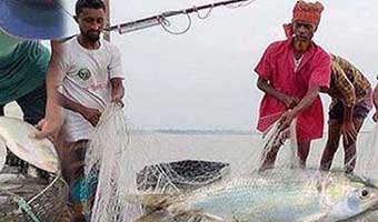 ইলিশ রক্ষায় শনিবার থেকে ২২ দিনের নিষেধাজ্ঞা, জেলেরা তৈরি