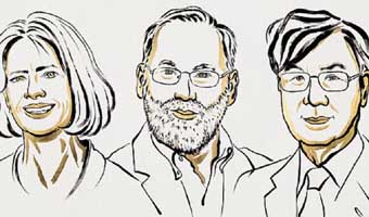 চিকিৎসায় নোবেল পেলেন ৩ গবেষক