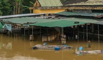 ভিয়েতনামে বন্যায় নিহত ৯০
