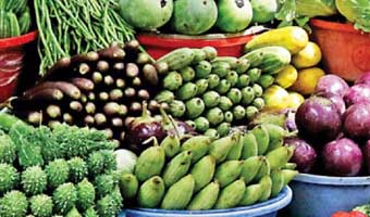 শাকসবজিতে ক্যাডমিয়াম, সিসা ও মলের জীবাণু শনাক্ত