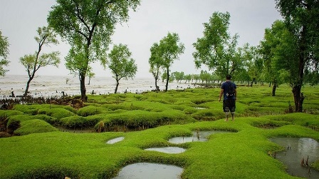 অপরূপ সৌন্দর্যের আরেক নাম গুলিয়াখালী সমুদ্রসৈকত